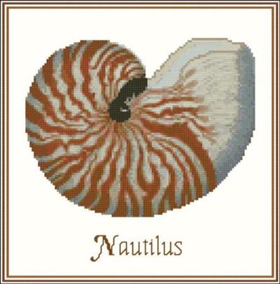 (image for) Shell Nautilus